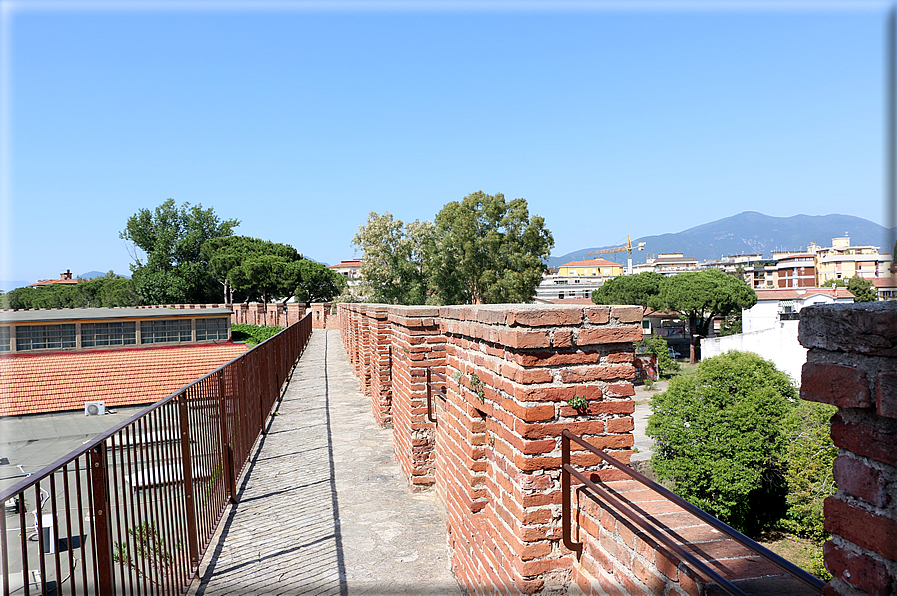 foto Camminamento delle mura di Pisa